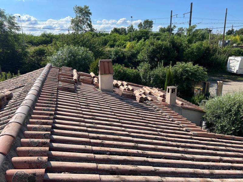 Entreprise spécialisée pour enlever la mousse sur le toit à Rochemaure 07400