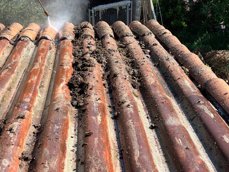 Entreprise spécialisée pour enlever la mousse sur le toit à Rochemaure 07400